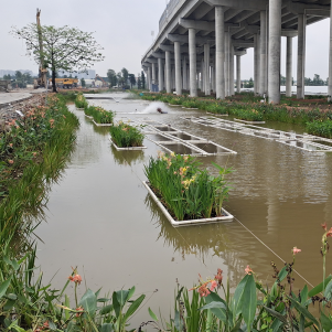 张掖中山市横栏镇宝裕村养殖池塘升级改造和尾水治理项目