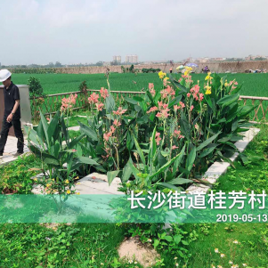 张掖开平长沙街道桂芳村农村环境整治