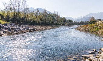 公司新闻-广东纽非尔环境科技有限公司-河流水系生态恢复的任务4大项