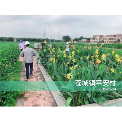 宝鸡开平苍城镇平安村农村环境整治