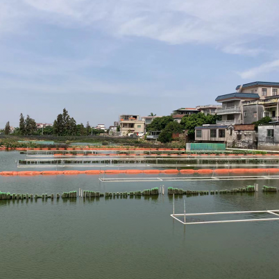 宝鸡佛山市顺德区均安镇上迳片区 / 豸浦水产养殖尾水处项目