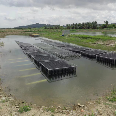 宝鸡南朗街道渔业绿色循环发展试点项目